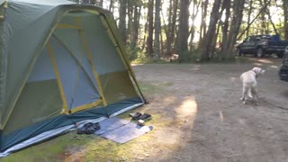 Camping 2022: Our Tent and Campsite