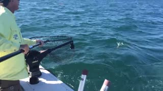 Huge King Salmon from Lake Ontario with ReelSilver Charters
