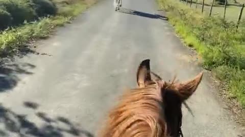 horseback riding