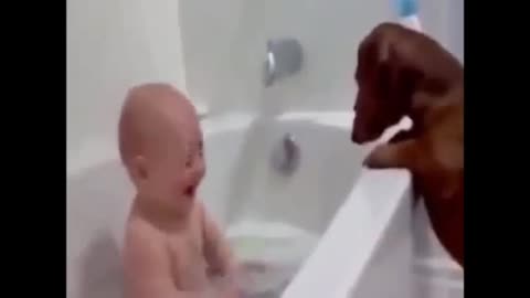 Funny Baby and Dog Video😂
