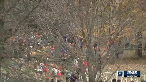 Molly Seidel - 2015 NCAA Cross Country Championship