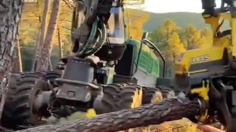 Modern deforestation equipment