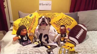 Bulldog impatiently awaits 2017 NFL season