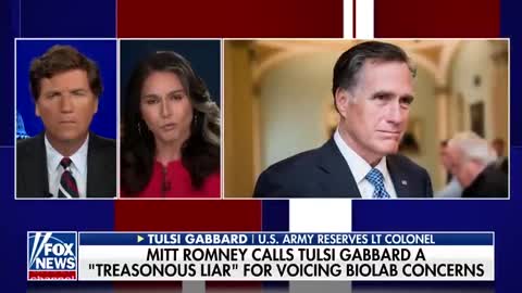 Tucker to Tulsi Gabbard: What would be your response to Mitt Romney?