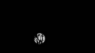 Full moon traveling behind a tree which beautifully silhouetted the branches.