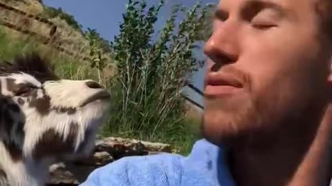 Very Funny Human vs Goat Argument