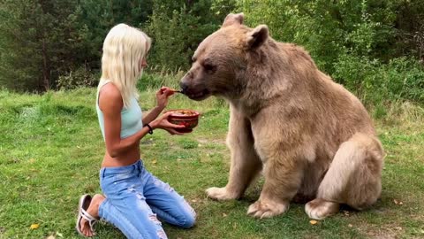 Girl Feeding Brown Bear | Great Friendship