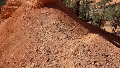 The Queen's Garden and the rest of Bryce Canyon.