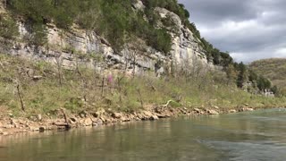 Buffalo River at Spring Creek April 2021