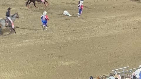 Matador Injured by Bull at Rodeo