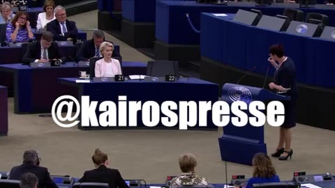 audition-des-parlementaires-europeens-avant-le-vote-pour-la-designation-de-von-der-leyen