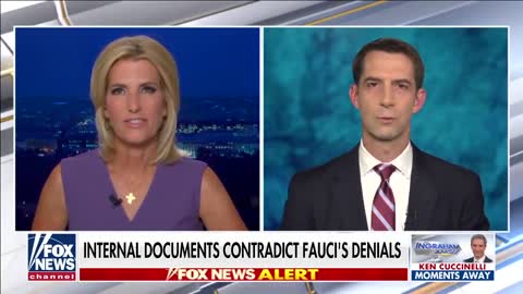 Tom Cotton demands Anthony Fauci be prosecuted for his lies -FOX