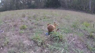 Funny Reaction of This Little Dog Wearing A GoPro
