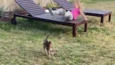 Watch the cat's reaction when it goes crazy