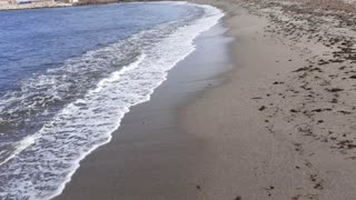 Walking on the shoreline