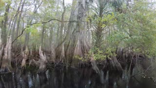 Canoeing the Withlacoochee River to Ancient Florida Indian Mounds (Part Two)