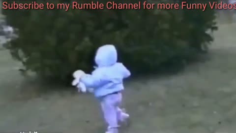 Best Cat Royal Rumble Funniest Videos