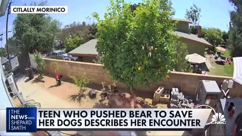17-year old teen who pushed a bear to save her dogs