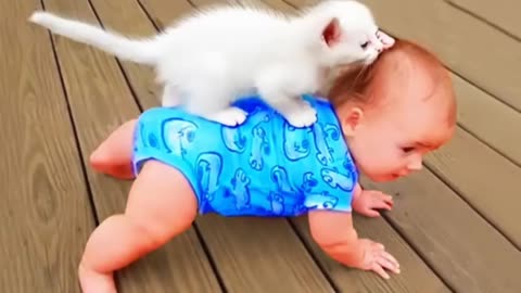 What Happends When Cute Cats Takes Care of Baby || Cool Peachy