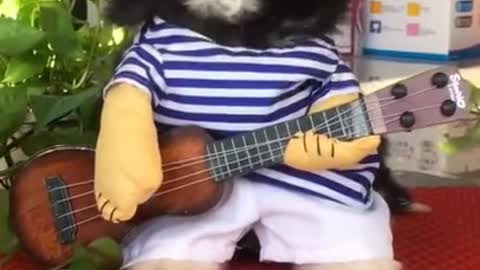Cute dog try to play guitar.