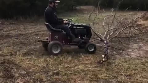 Lawn Mower Wheelie