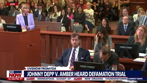 Johnny Depp witness claps back at Amber Heard lawyer - Your 15 mins of fame representing her