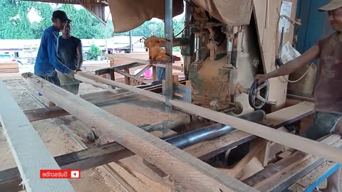 Bengkirai Wood Solid Fibers Are Sawed For Ribs And Other Materials (Sawmill)