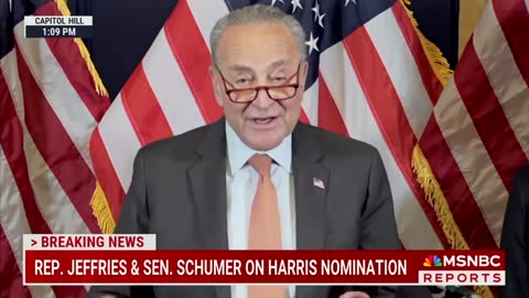Schumer Snubbed As He Announces Endorsement for Harris