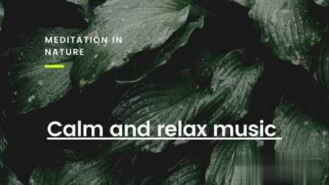 Meditation in nature , calm and relax for yoga . Peaceful music , help in sleeping