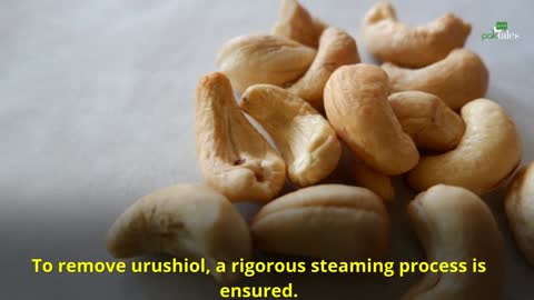Are Cashews Poisonous ? Toxic Truth about Cashew Poison