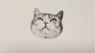 One of a kind cat stamp!! @happyandpolly #cat #catsupplies #pet #catsoftiktok #cutecat #fyp #catstam