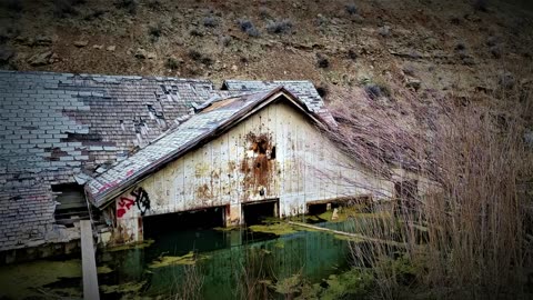 Exploring the Ghost Town of Thistle, Utah