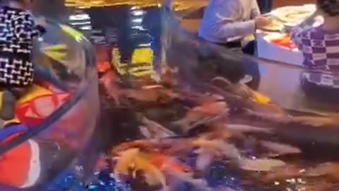 Restaurant with fish 🐟 inside