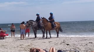 NYC National Park Horses Draw A Crowd at Fort Tilden Rockaway Beach