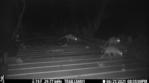 Shedding the Little Ones