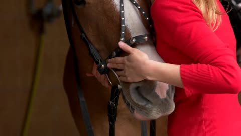 Close up hands of woman hugging a horse