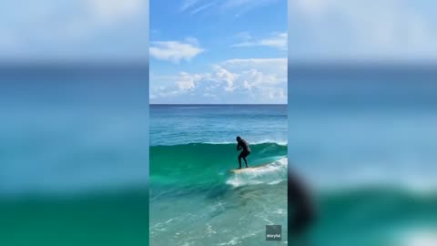 Pet python hits ocean, catches waves on surfboard with owner #Shorts