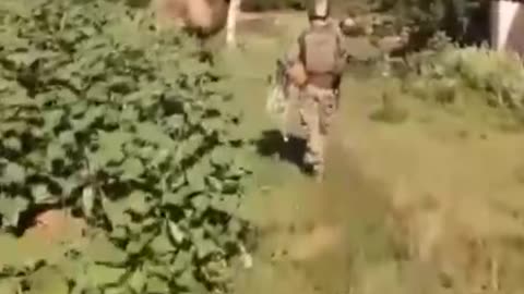 During the search for a downed enemy drone on the Kharkiv front line,