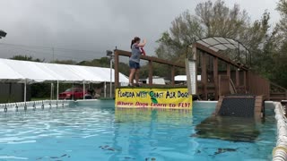 Beckett Getting ready for her first Dock Diving Competition