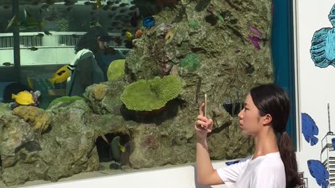 Okinawa churaumi aquarium by sony