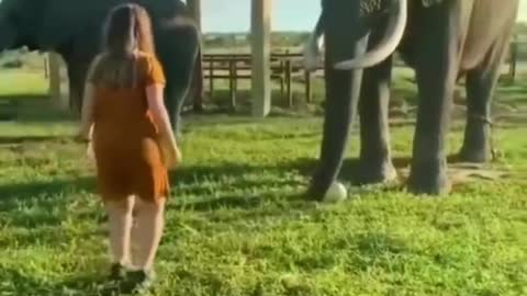 elephant playing with a little girl