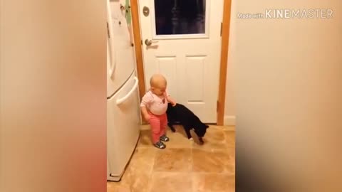 The funy dog and baby