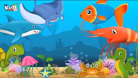 Sea Animals Name| Animal name for kids | ocean Animals for kids-vocabulary for kids