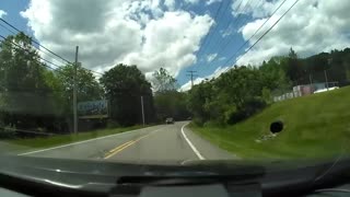 Deer Near Miss