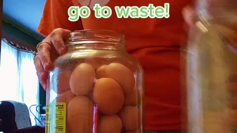 Old Time Egg Preserving Hack