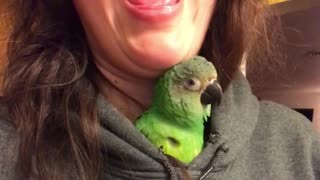 Bird and Human Sing a Ridiculous duet