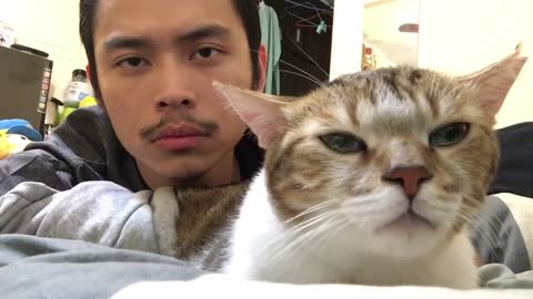 Cat and owner vide out to music/hotline bling