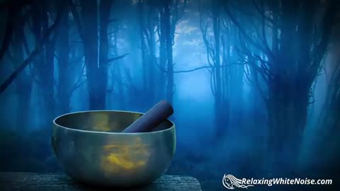 Rain in Woods + Tibetan Bowls | Relax, Study or Sleep with White Noise Music | 10 Hours