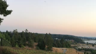 Stolen Horizon Airplane Flying Above Washington