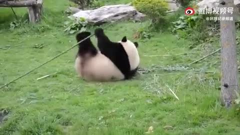 KUNG FU PANDA